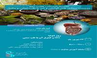 برگزاری روز دوم از مدرسه تابستانی هفت روزه مدیریت بیماری‌های گوارش و کبد با طب ایرانی و‌ مکمل